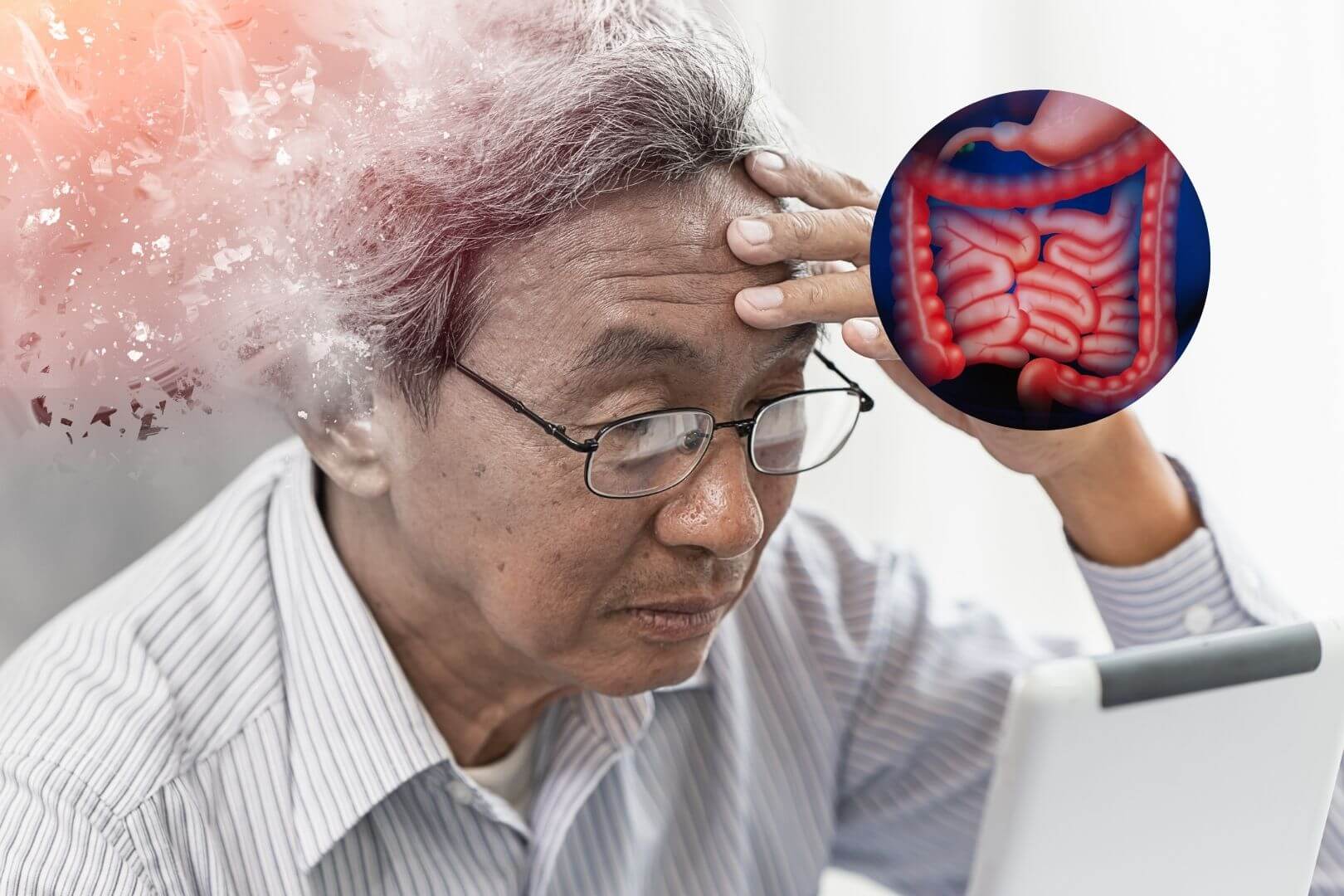 Inflamación intestinal y Alzheimer