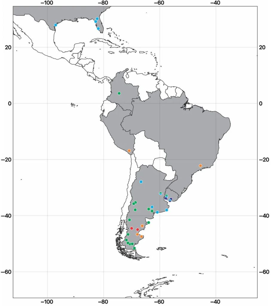 Un mapa destaca en gris los países de América del Norte y América del Sur