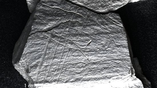 Una antigua plaqueta de esquisto del campamento de la Edad de Hielo en Gönnersdorf muestra una trampa para peces