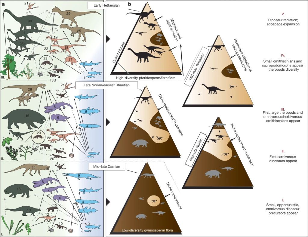 Quién se comía a quién en la época de los dinosaurios