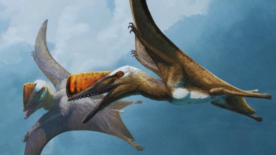 Un fósil de 149 millones de años explica cómo los pterosaurios se convirtieron en gigantes del cielo