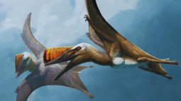 Un fósil de 149 millones de años explica cómo los pterosaurios se convirtieron en gigantes del cielo
