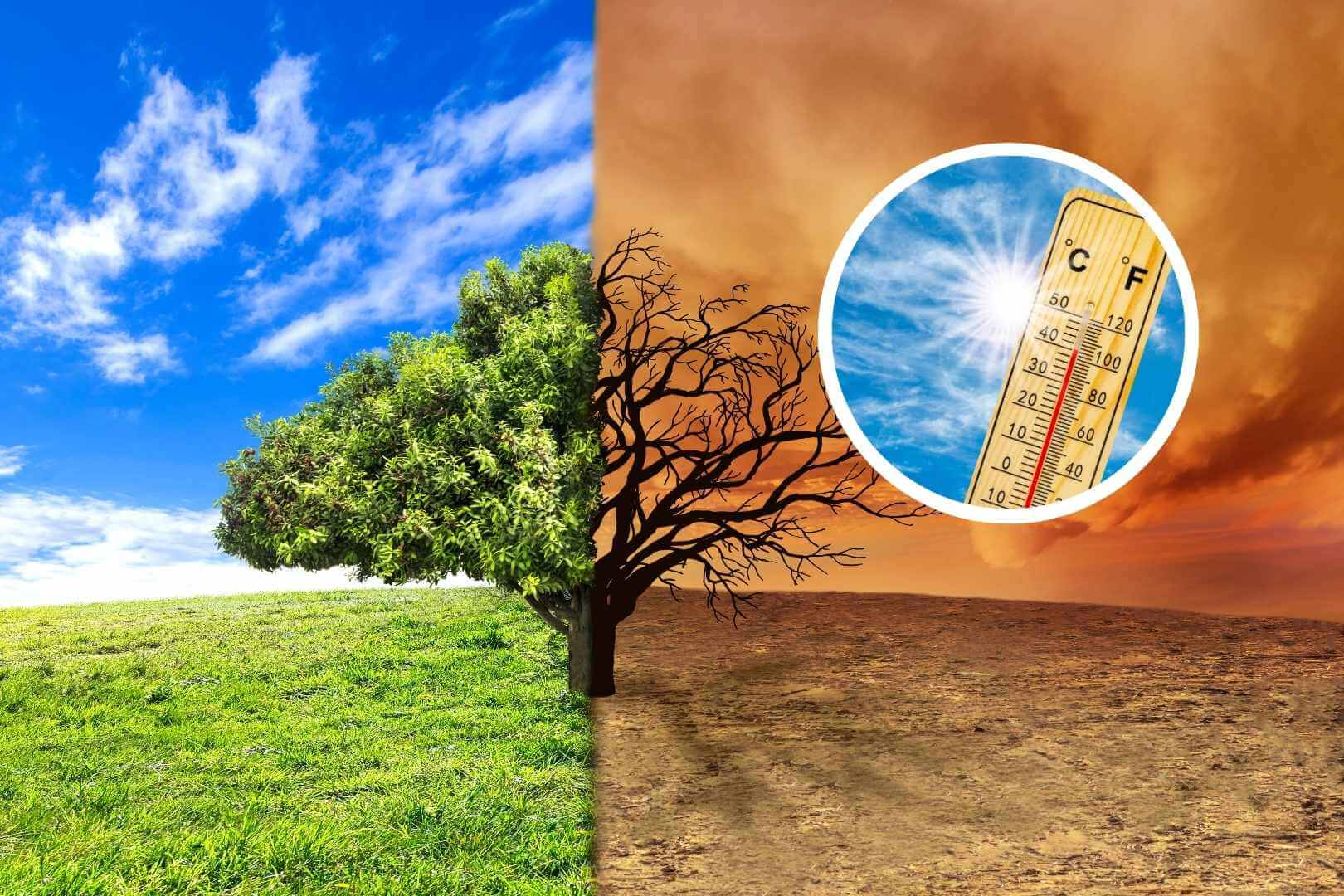 2024 se convierte en el año más caluroso jamás registrado