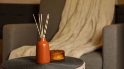 Mejores ambientadores para tu hogar