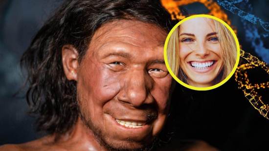 Influencia del ADN neandertal en los dientes modernos