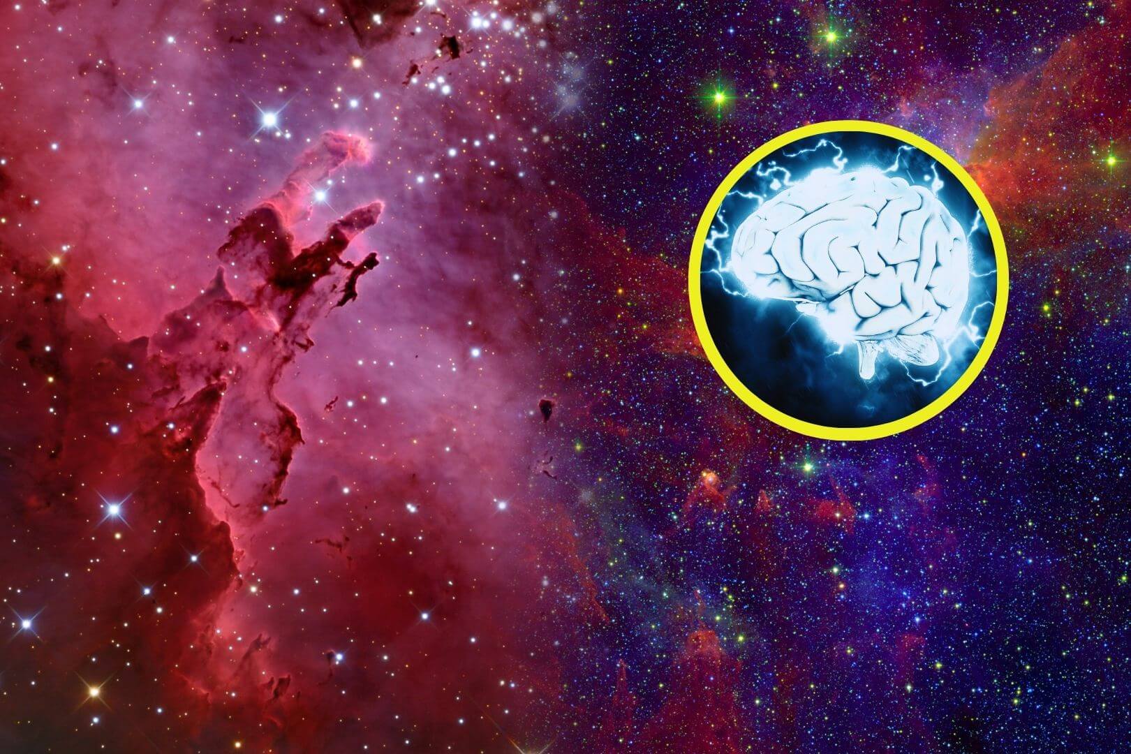 Investigación pionera en la Estación Espacial Internacional revela sorprendentes efectos de la microgravedad en el desarrollo neuronal