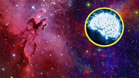 Investigación pionera en la Estación Espacial Internacional revela sorprendentes efectos de la microgravedad en el desarrollo neuronal