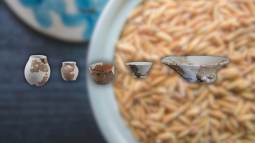 Descubren la cerveza más antigua de Asia