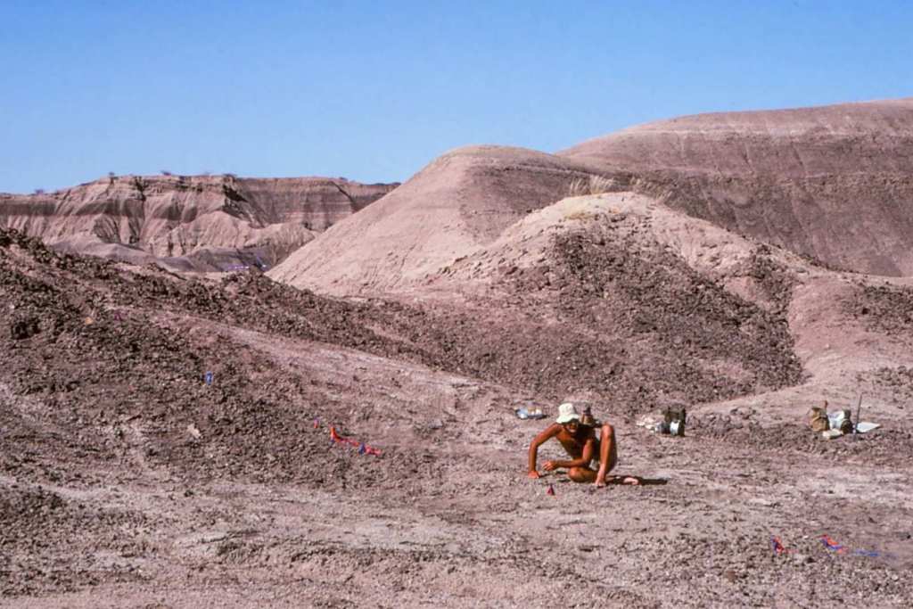 Al día siguiente de encontrar a Lucy en noviembre de 1974, Don Johanson examinó cuidadosamente el lugar exacto donde había recogido el primer hueso