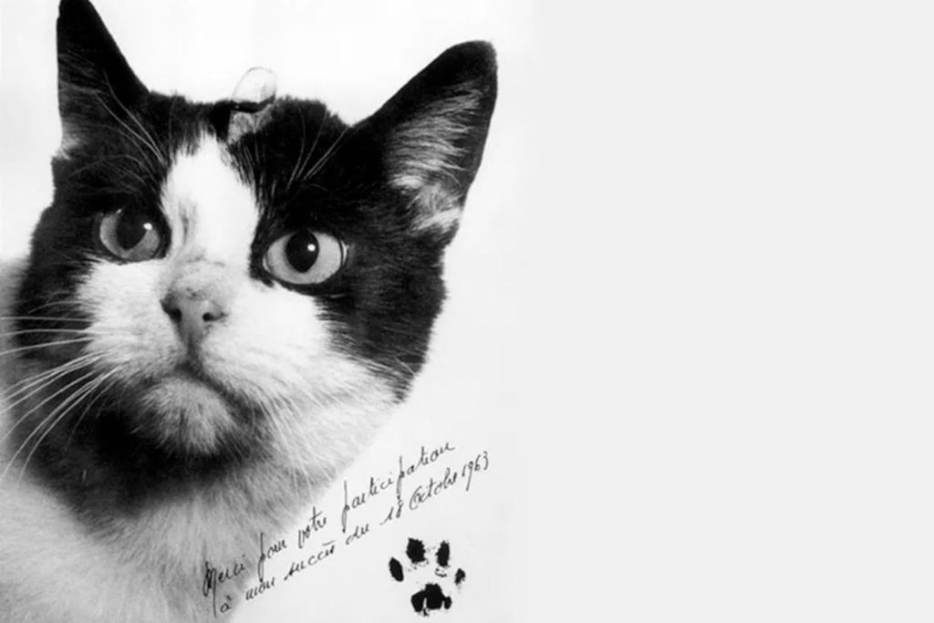 Francia también dejó su huella en la historia espacial al enviar a Félicette