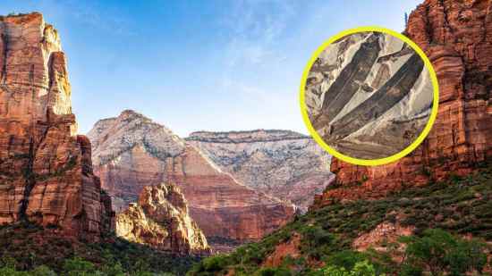 Un fósil de 47 millones de años desafía todo lo que sabíamos sobre la botánica