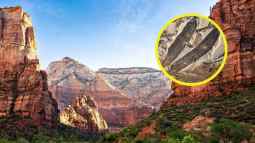 Un fósil de 47 millones de años desafía todo lo que sabíamos sobre la botánica