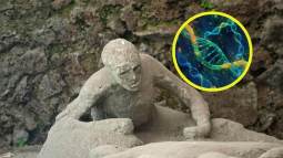 El ADN cambia lo que sabíamos sobre Pompeya