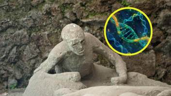 El ADN cambia lo que sabíamos sobre Pompeya