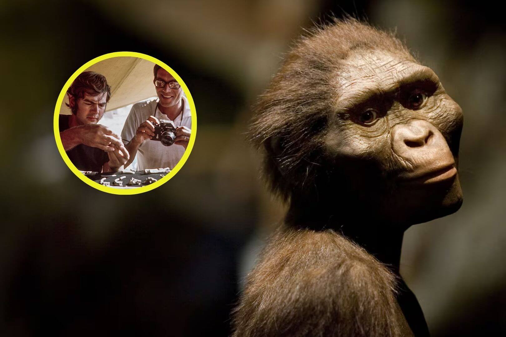 El descubrimiento de Lucy cumple 50 años y sigue fascinando a la ciencia