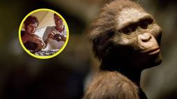 El descubrimiento de Lucy cumple 50 años y sigue fascinando a la ciencia