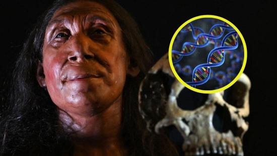 Estos descubrimientos de 2024 sobre neandertales sacuden los cimientos de nuestra historia evolutiva