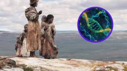 Revelan el momento exacto en que Homo sapiens y neandertales compartieron genes