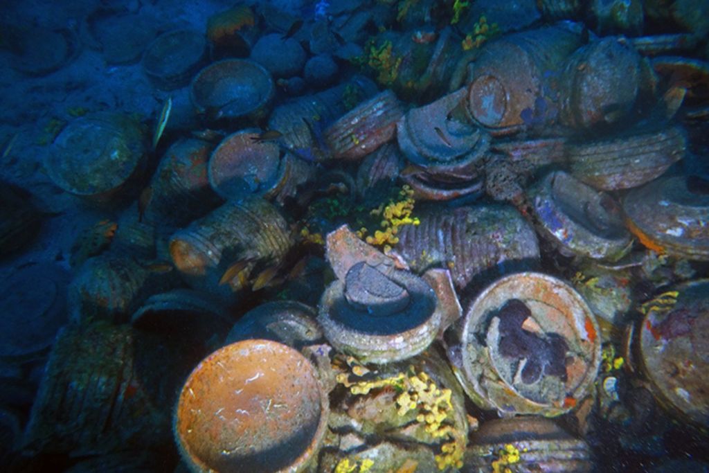 Una colección de miles de platos entre los restos del naufragio