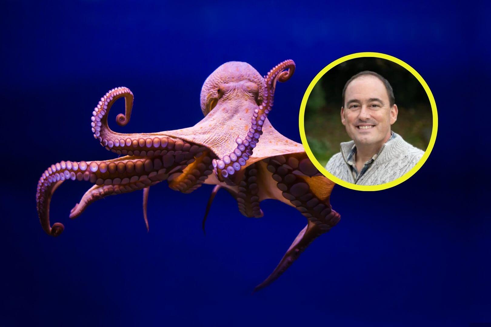 La inteligencia y habilidades de los pulpos plantean preguntas fascinantes sobre el futuro de la evolución