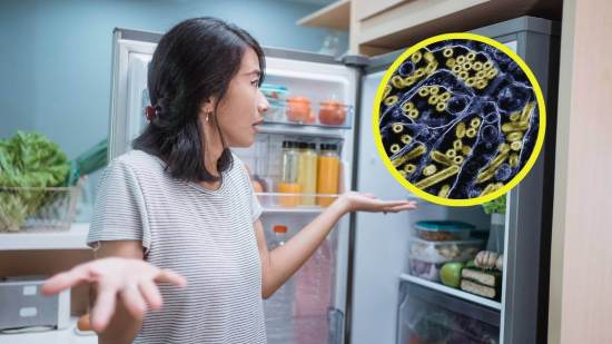 Un estudio revela que el virus de la gripe puede vivir 5 días en leche cruda refrigerada