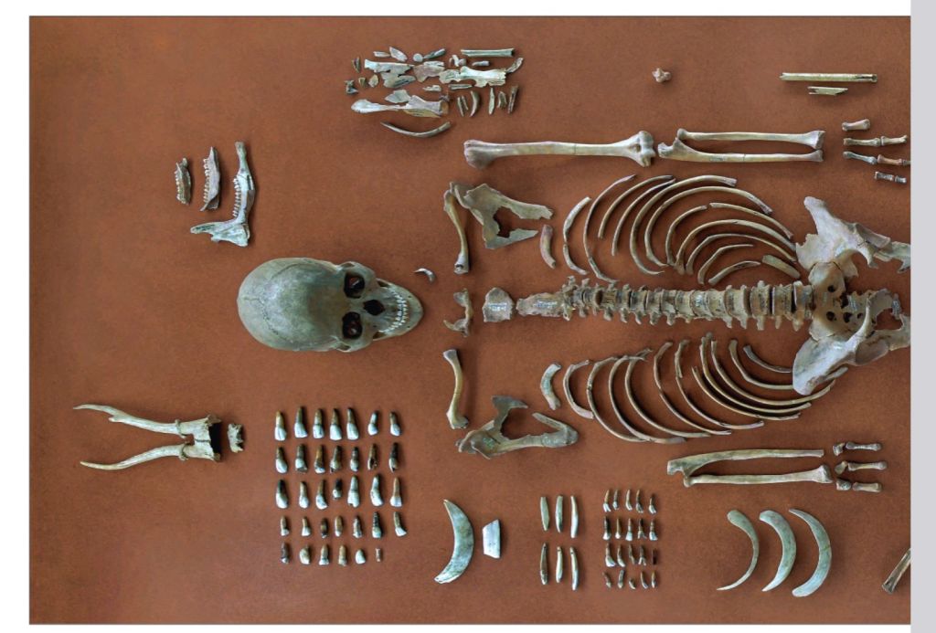 Esqueleto de la chamana excavado en Bad Dürrenberg
