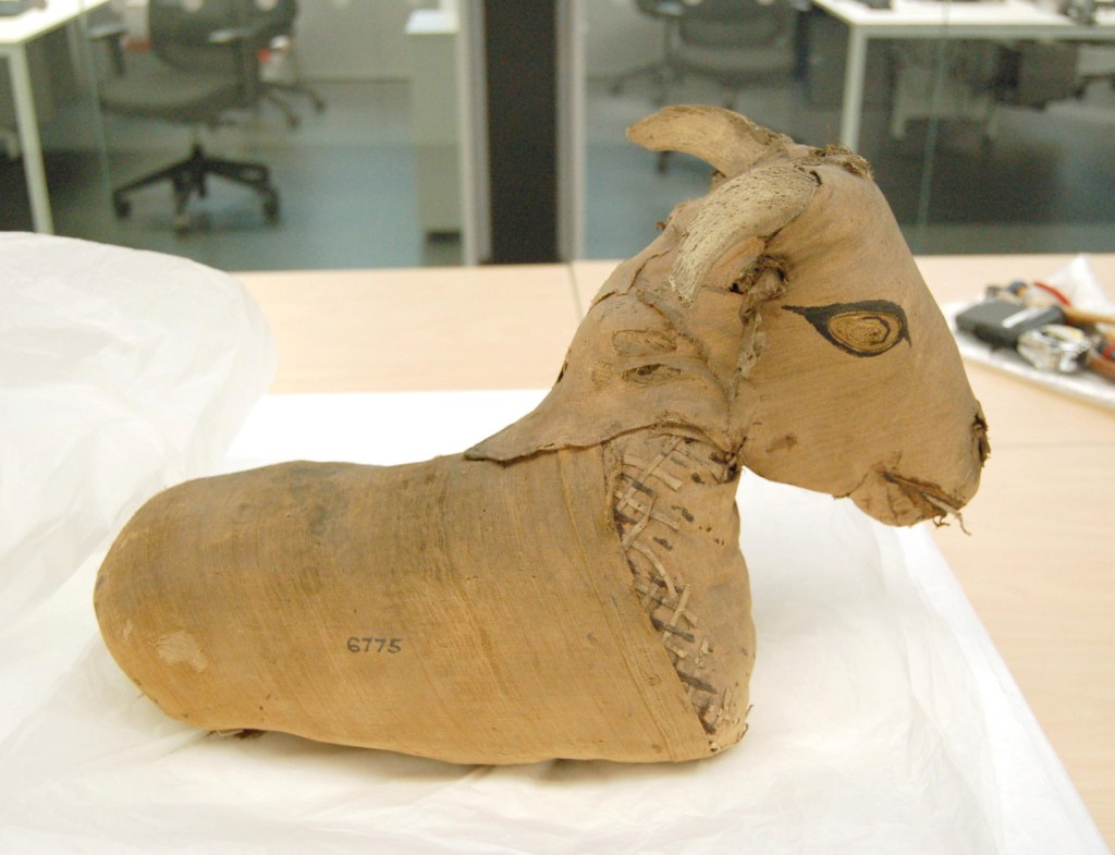 Momia egipcia de un animal