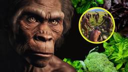 Descubren que nuestros ancestros tenían una dieta basada en plantas, desafiando ideas sobre la evolución humana