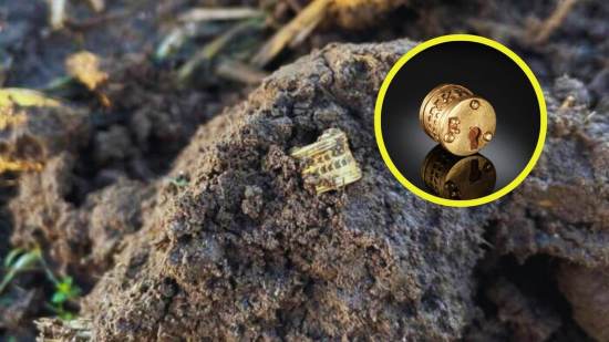 Un objeto más pequeño que una moneda moderna ha revelado pistas sobre las conexiones entre el norte de Europa y el Imperio Romano