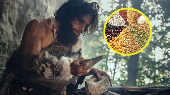 Un hallazgo arqueológico revela la dieta de hace 780.000 años