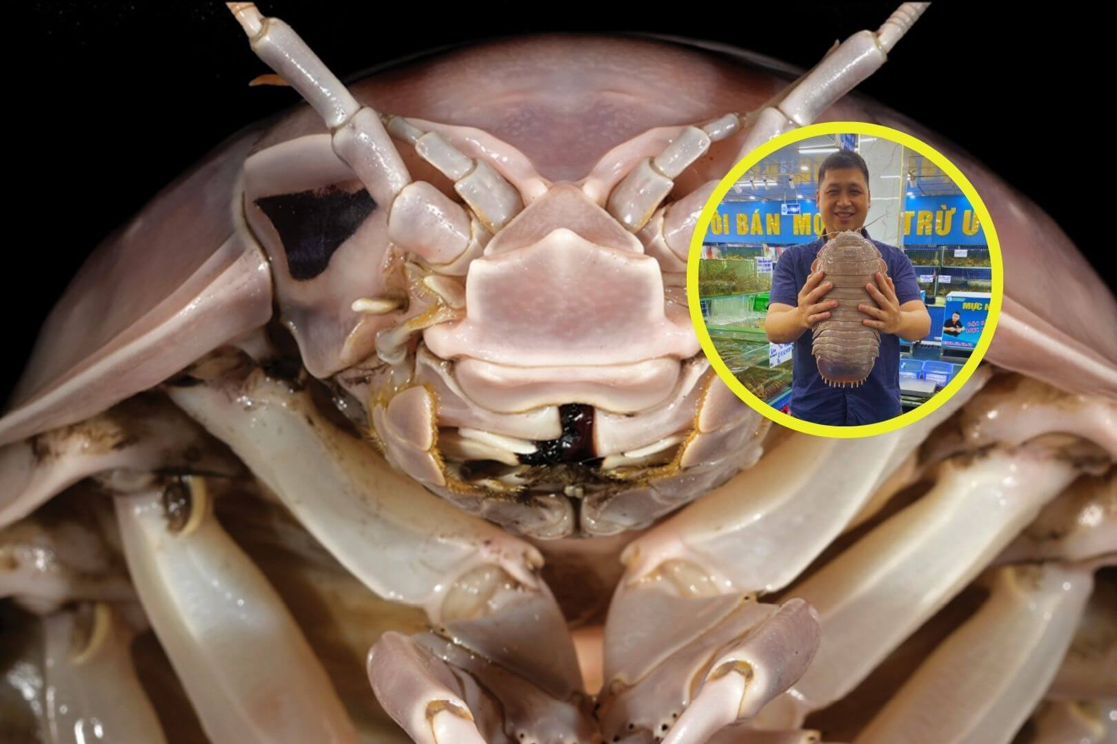 Hallan una criatura de las profundidades cuyo tamaño y forma te sorprenderán