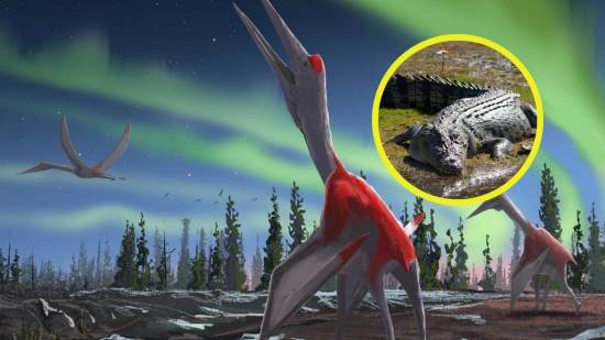 Un fósil revela el ataque de un cocodrilo a un pterosaurio hace 76 millones de años