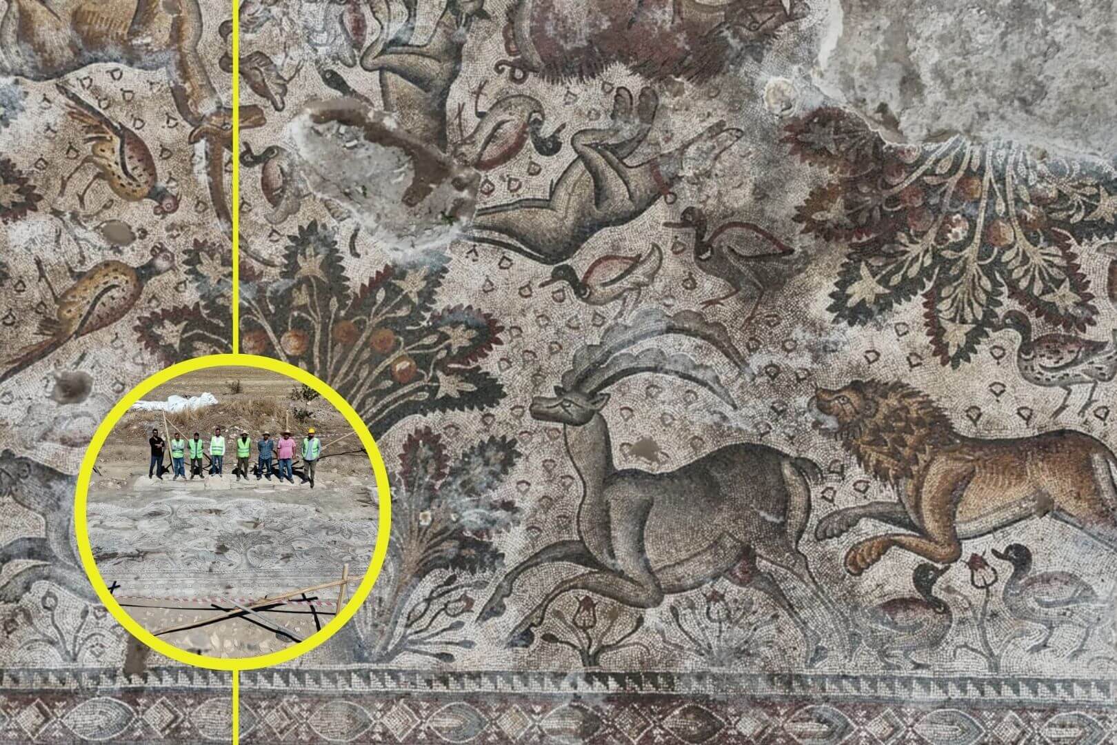 Encuentran un mosaico romano de 1.700 años en Turquía con escenas de caza salvaje y un mensaje oculto