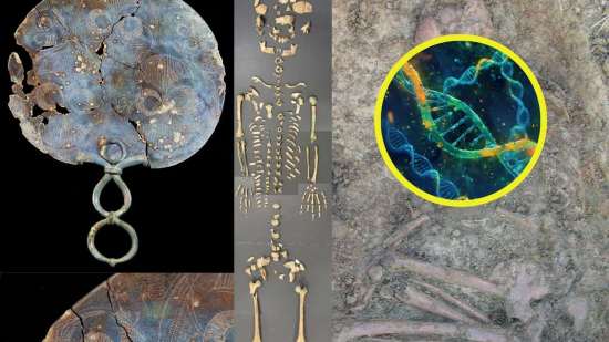 Según el equipo de investigación, la comunidad de la Edad de Hierro en Dorset seguía un sistema matrilocal: las mujeres permanecían en su comunidad natal, mientras que los hombres se trasladaban para integrarse en el grupo de sus esposas tras el matrimonio