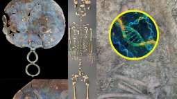 Según el equipo de investigación, la comunidad de la Edad de Hierro en Dorset seguía un sistema matrilocal: las mujeres permanecían en su comunidad natal, mientras que los hombres se trasladaban para integrarse en el grupo de sus esposas tras el matrimonio