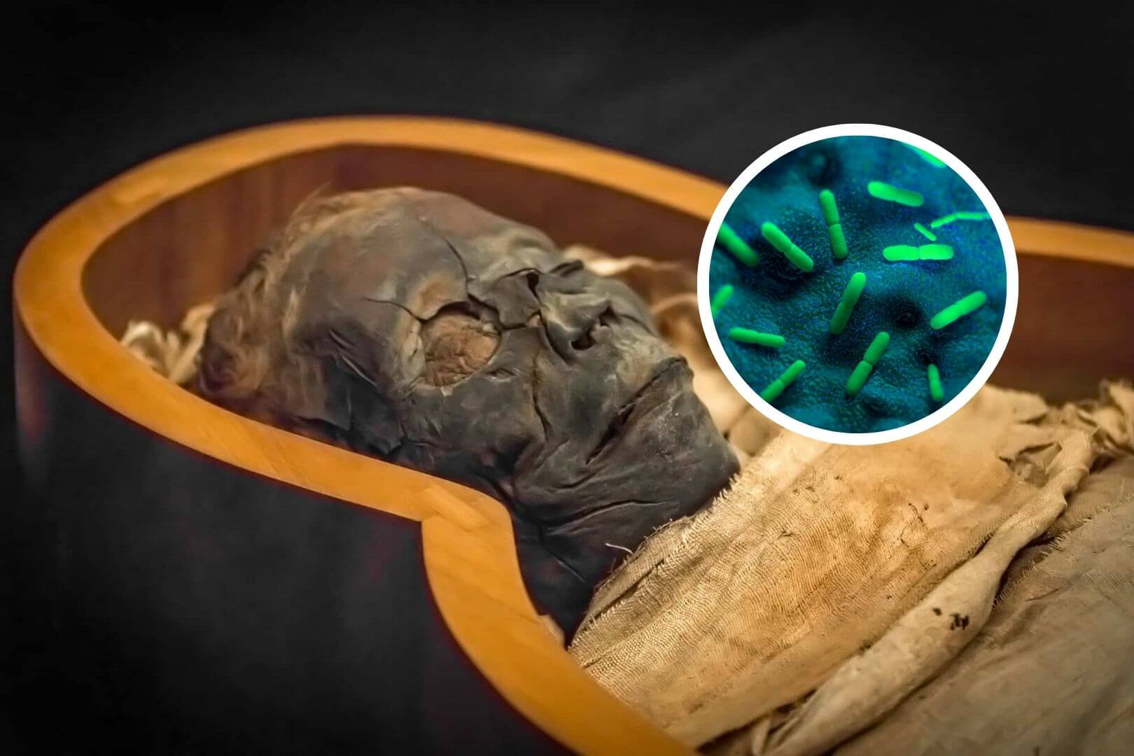 Descubren ADN de peste negra en una momia egipcia de 3.300 años