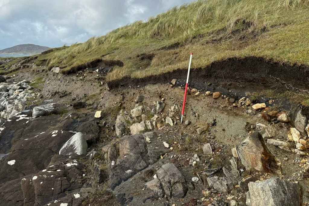 El depósito oscuro, rico en carbón y con textura de turba