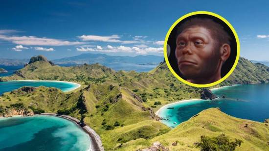 El enanismo insular transformó a los homínidos de Flores en tiempo récord