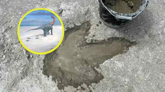 Descubren un corredor jurásico con huellas de dinosaurios de hace 166 millones de años