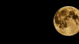 Hijos de Apolo en la Luna.