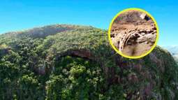 El estudio sugiere que la ropa de cama estaba rodeada de un repelente natural de insectos