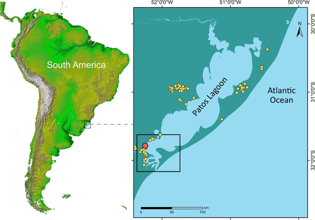 Mapa da la Laguna de los Patos en Brasil