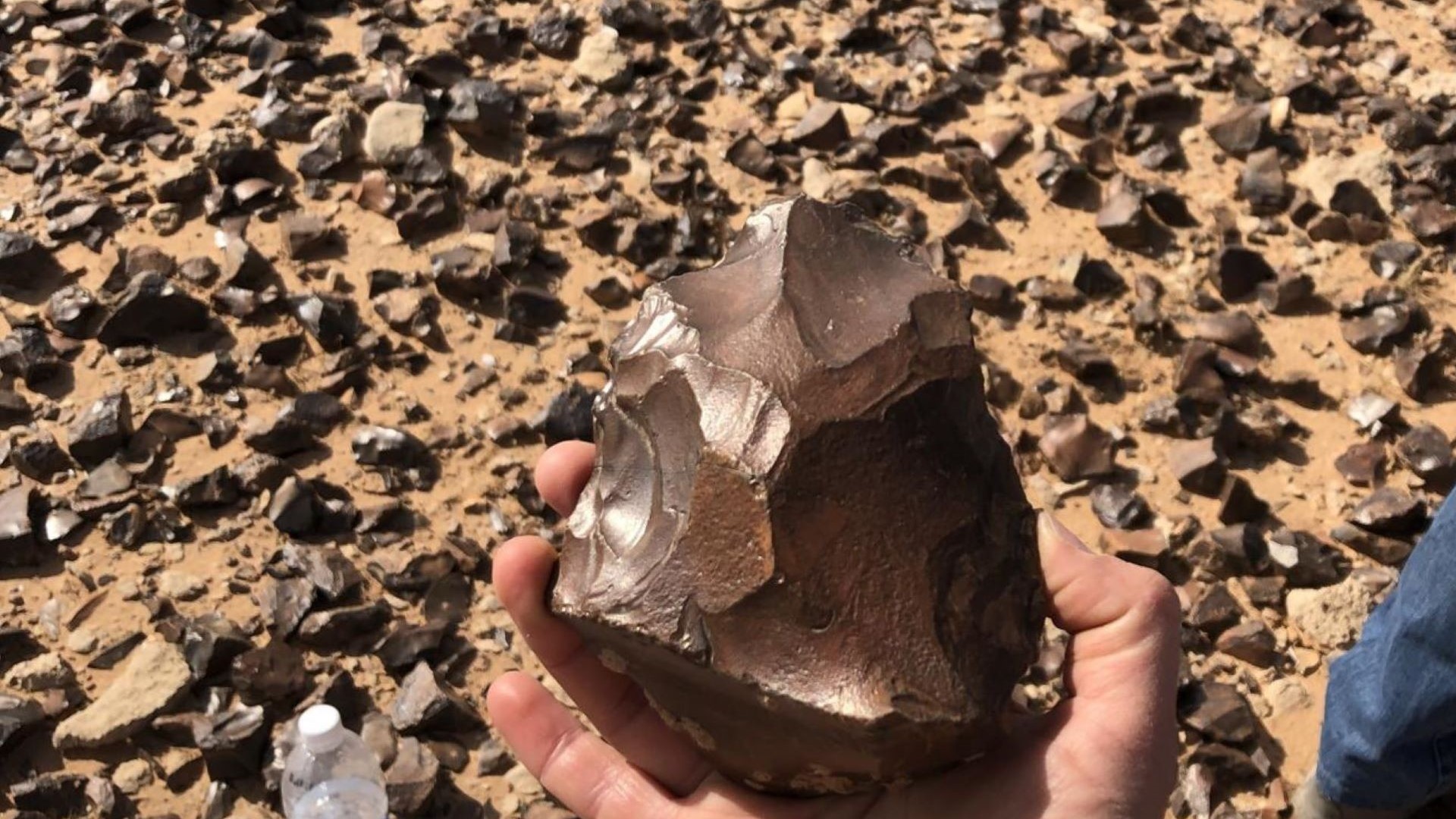 Este descubrimiento amplía el horizonte arqueológico de la prehistoria en el Próximo Oriente