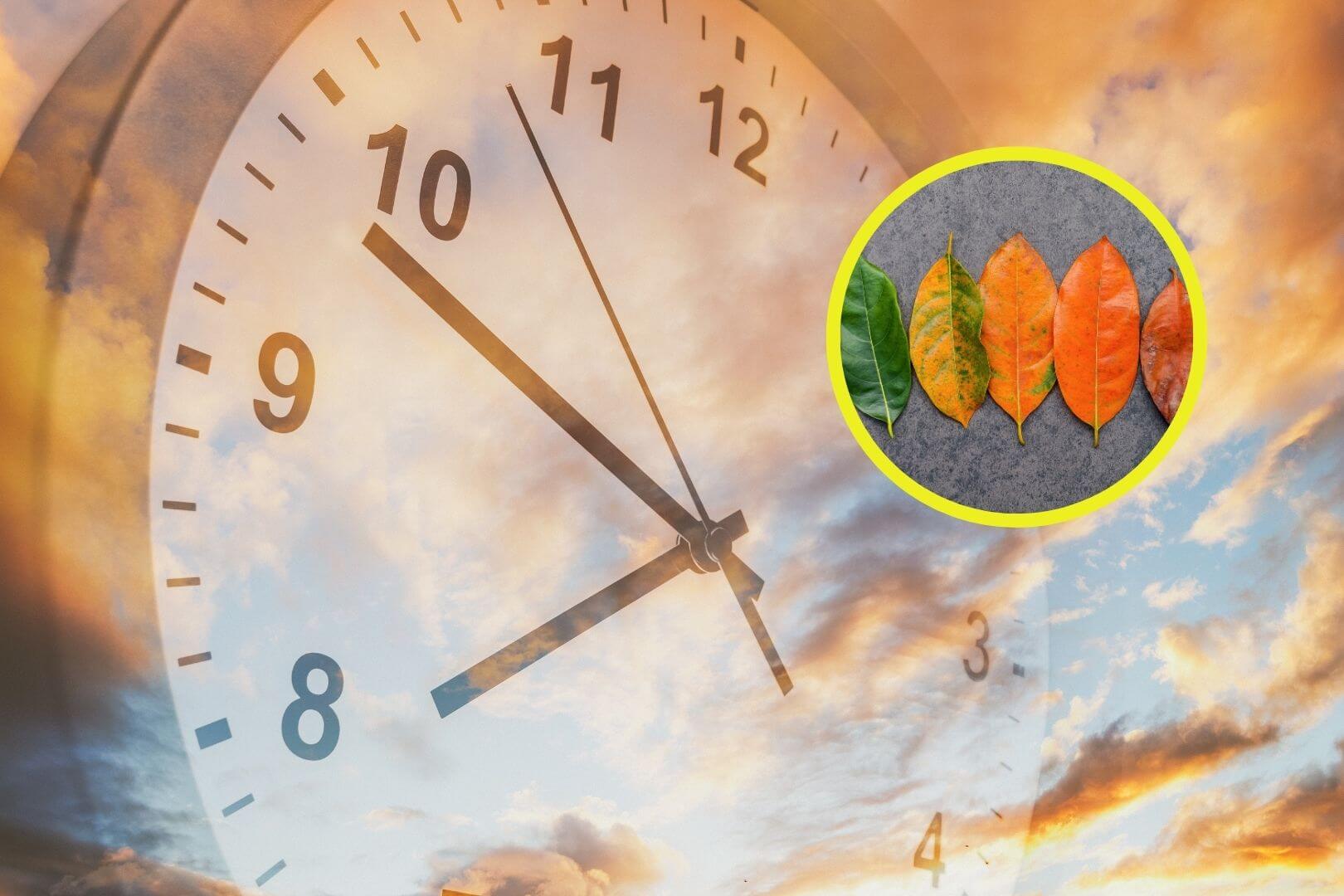 ¿Por qué el tiempo pasa más rápido cuando envejecemos?