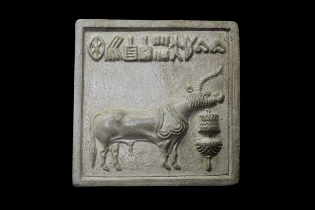 La escritura del Indo está compuesta por una serie de signos y símbolos que se encuentran principalmente grabados en pequeños sellos de piedra