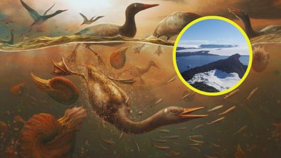 ¿El ancestro más antiguo de los patos? Este fósil prehistórico en la Antártida podría resolver el misterio