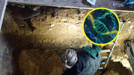 Un descubrimiento revolucionario reescribe la historia genética de los habitantes prehistóricos de la península ibérica