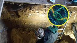 Un descubrimiento revolucionario reescribe la historia genética de los habitantes prehistóricos de la península ibérica