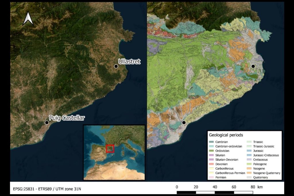 Mapas de los yacimientos de Ullastret y Puig Castellar