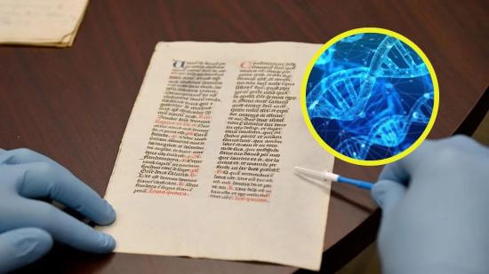 ¿Qué escondían los pergaminos? Un método innovador lo descubre